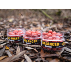 Carp Inferno Boilies Balanced 16mm / 200ml