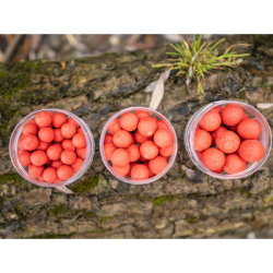 Carp Inferno Boilies Balanced 16mm / 200ml